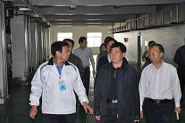 河北省委常委、副省長(zhǎng)楊崇勇到我公司視察